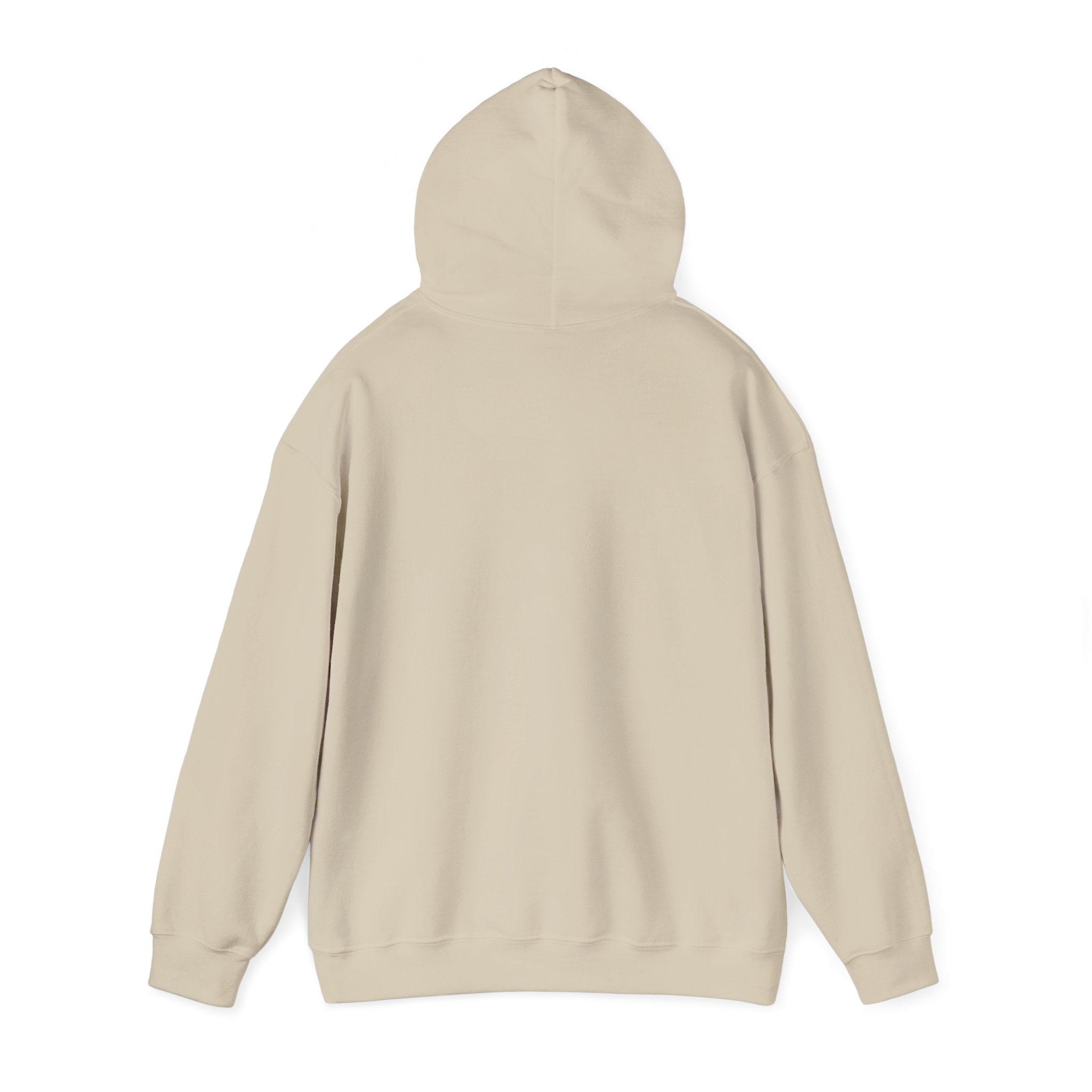 Vamos Brasil Soccer Hoodie